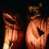 brown tabby cat on jack o lantern