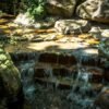 a stream of water running through a lush green forest